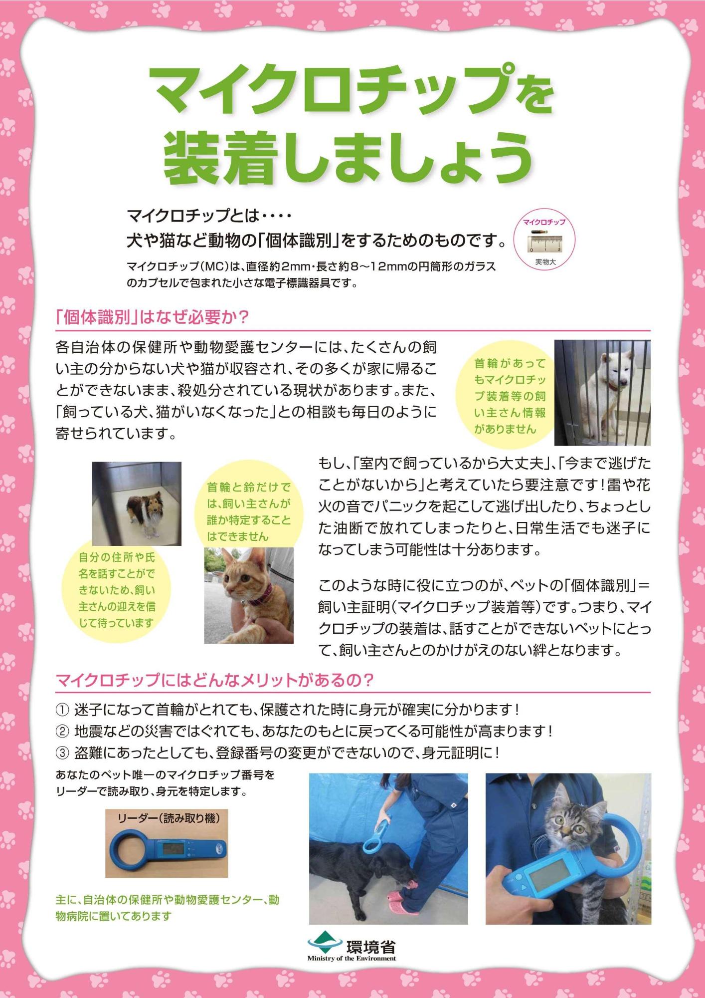 マイクロチップの装着を促すチラシの画像