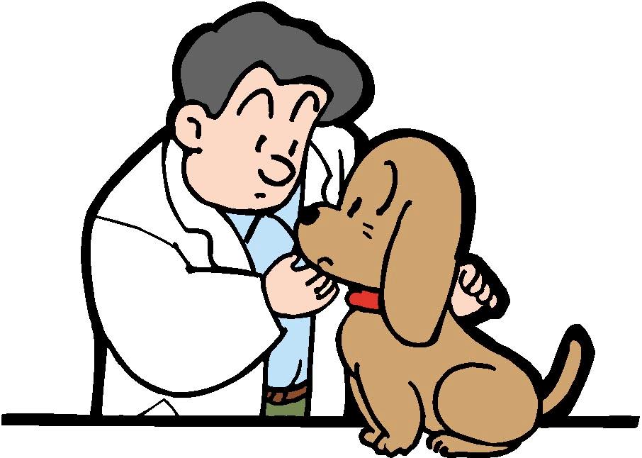 白衣を着た犬が診察している様子のイラスト