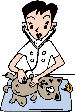 獣医が猫のお腹辺りに聴診器をあてているイラスト