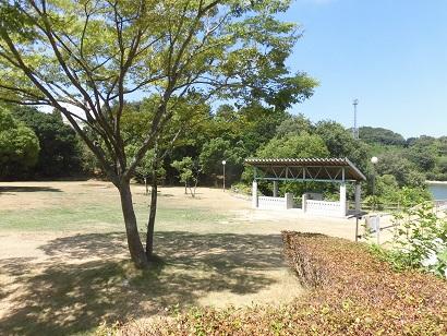 木々や広い広場があるとらまる公園の写真
