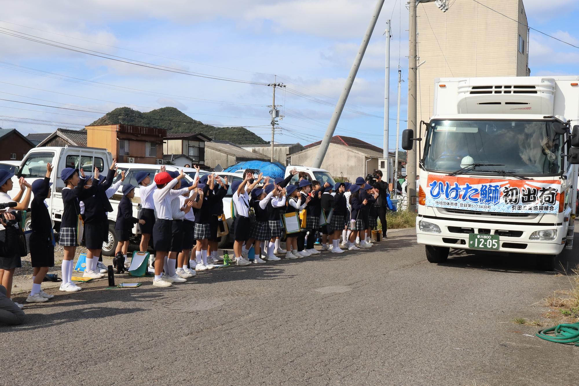 「ひけた鰤」の初出荷