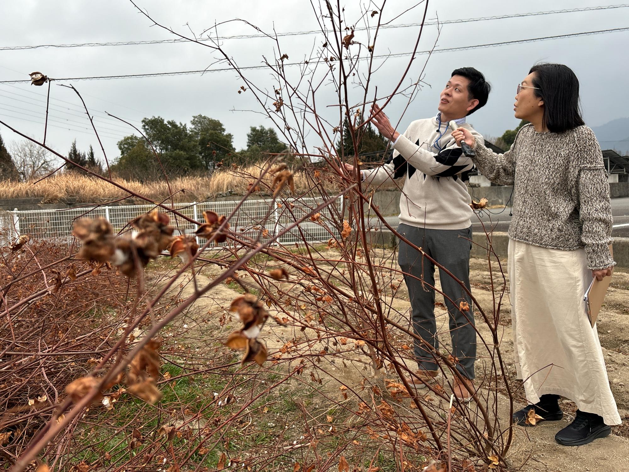 東かがわ市歴史民俗資料館で「見る・触れる・使う ‐昔の暮らしを知ろう‐展」開催中