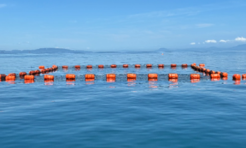 魚が大きくなったときのいけす