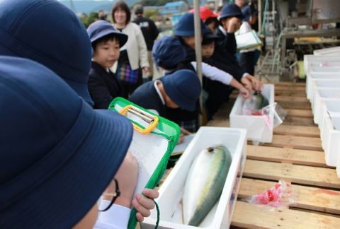 引田小学校校外学習の様子