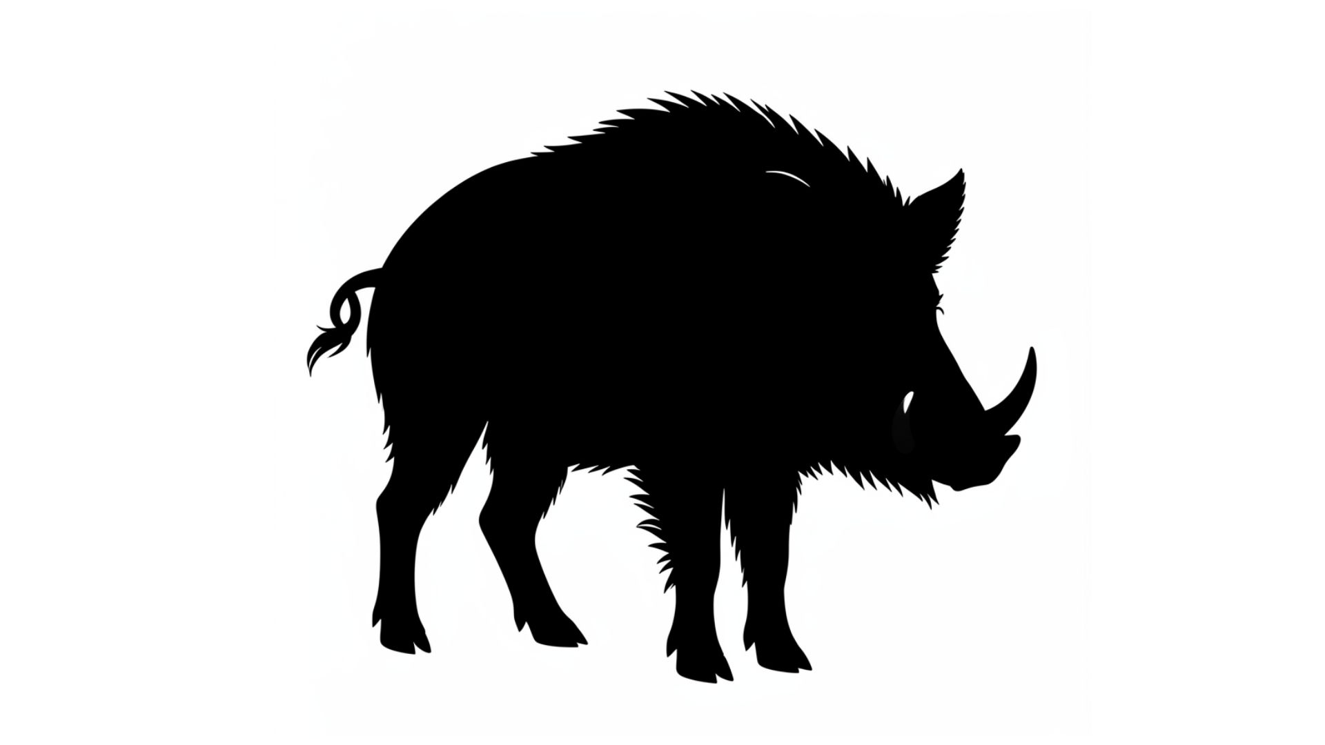 動物のシルエット