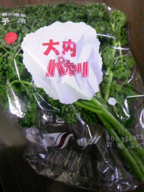 大内パセリ