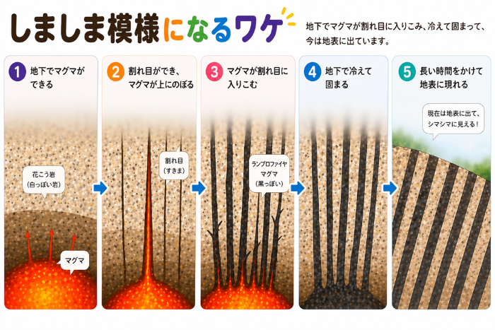 しましま模様になるわけ