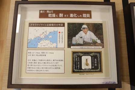 展示されたパネルの写真