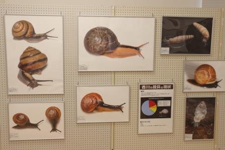 かたつむりのパネルが展示されている写真