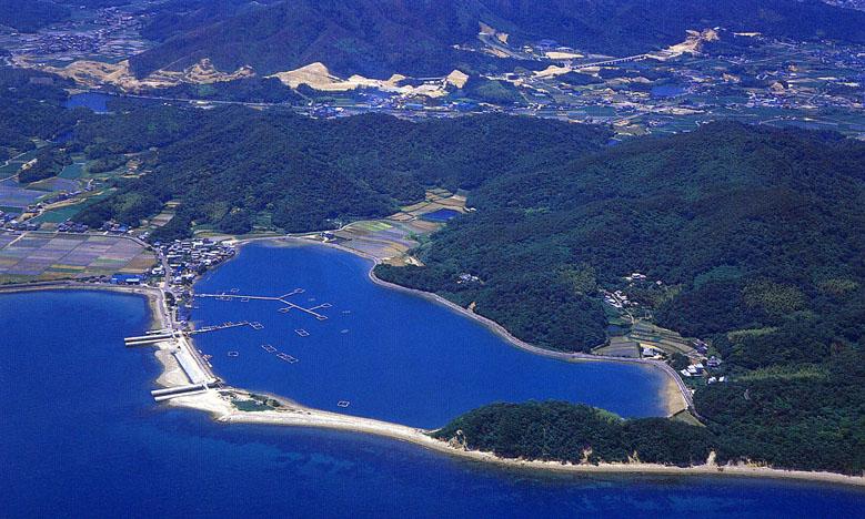 緑の山々ときれいな海を上空から撮った安戸池の写真
