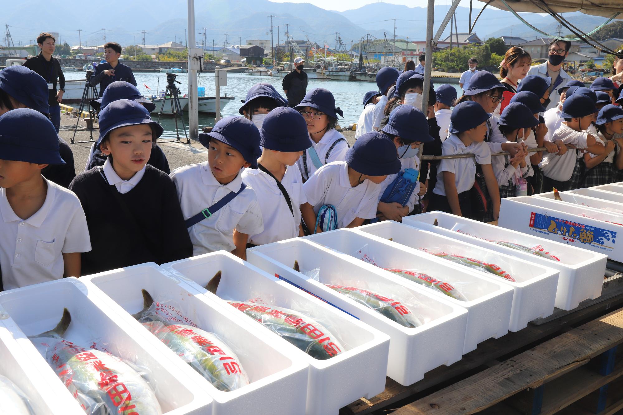 引田小学校3年生の子どもたち