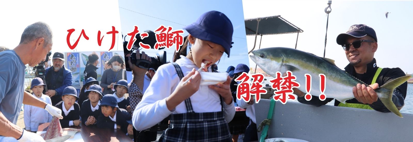 冬の極上味覚 「ひけた鰤」解禁