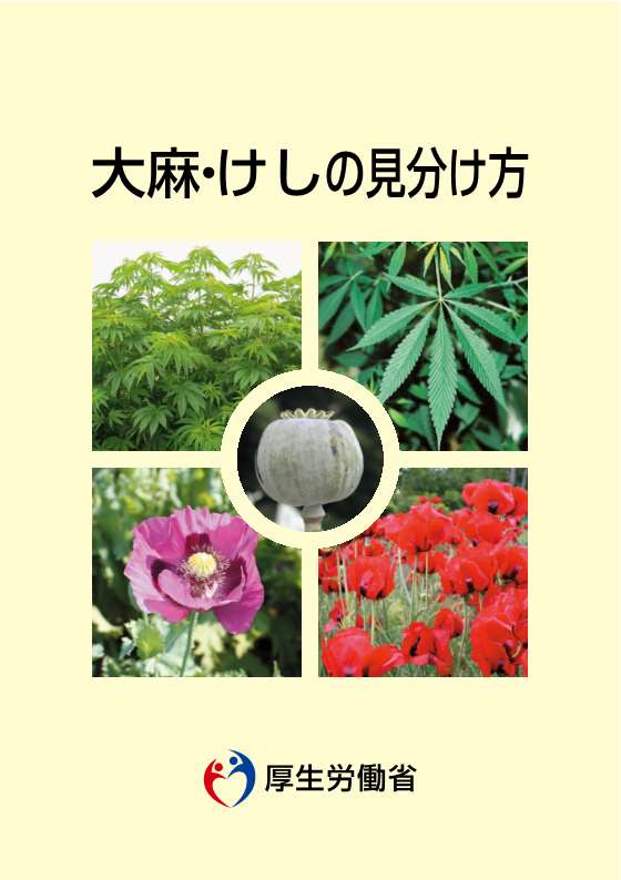 大麻・けしの見分け方パンプレットの表紙