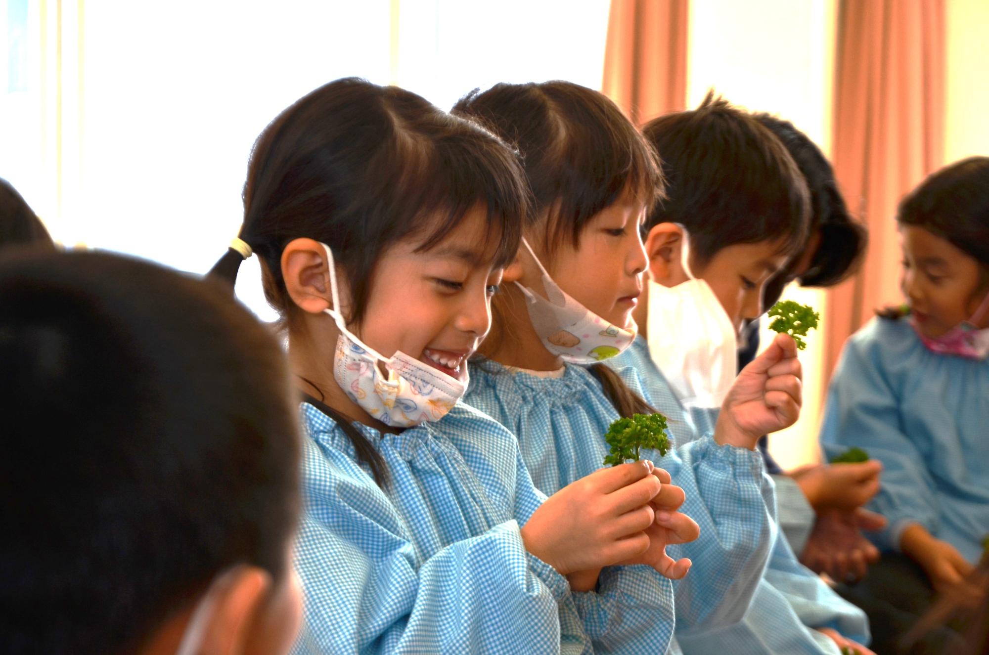 パセリを手にする子どもたち