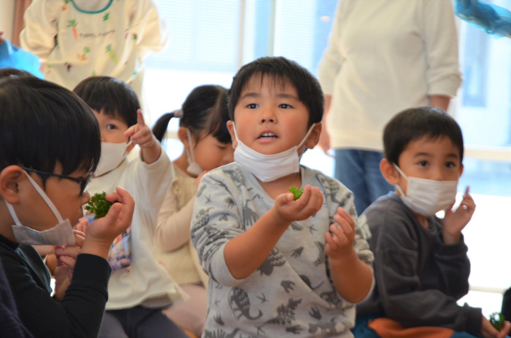 パセリを持つこどもたち