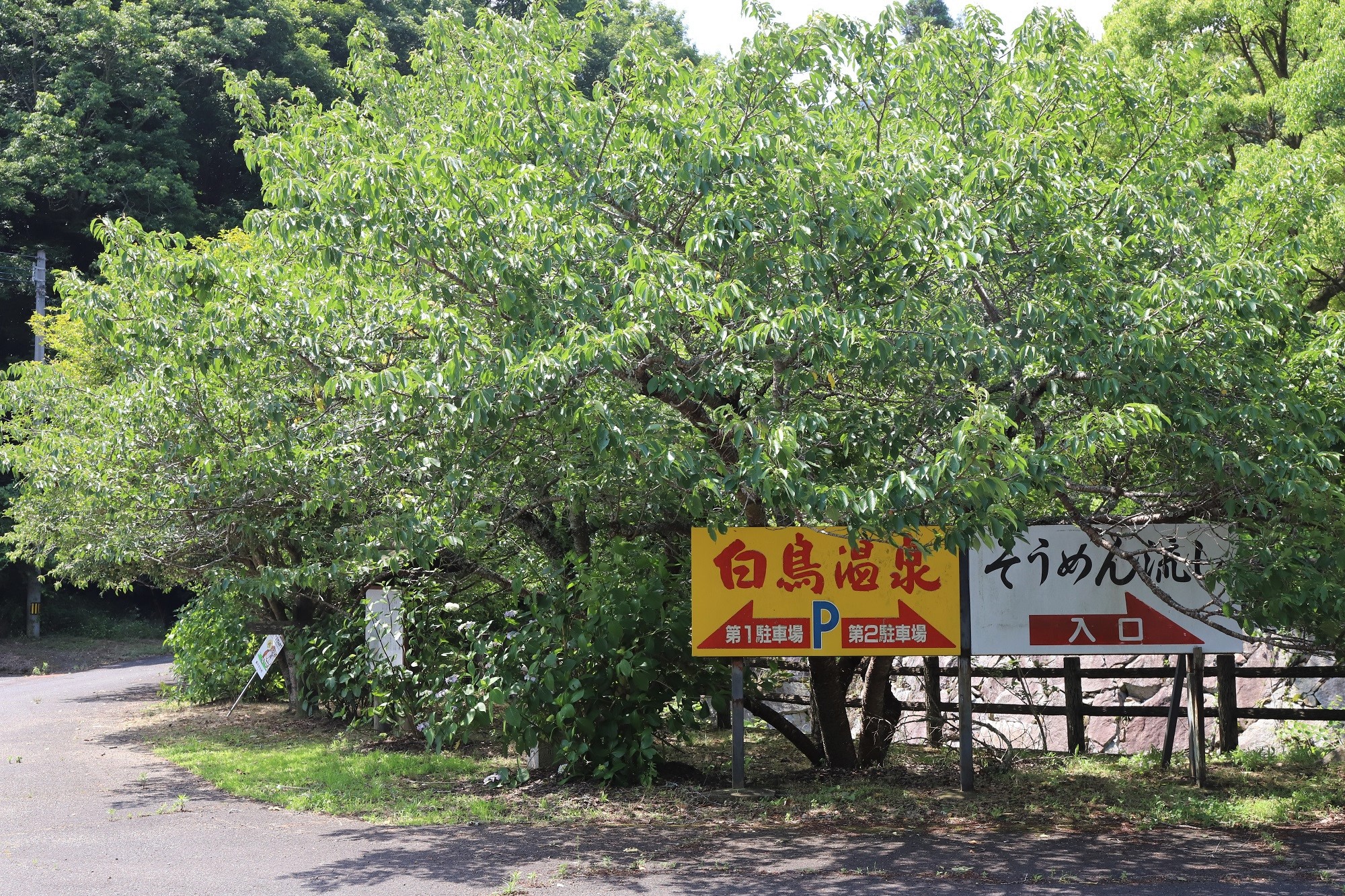駐車場横