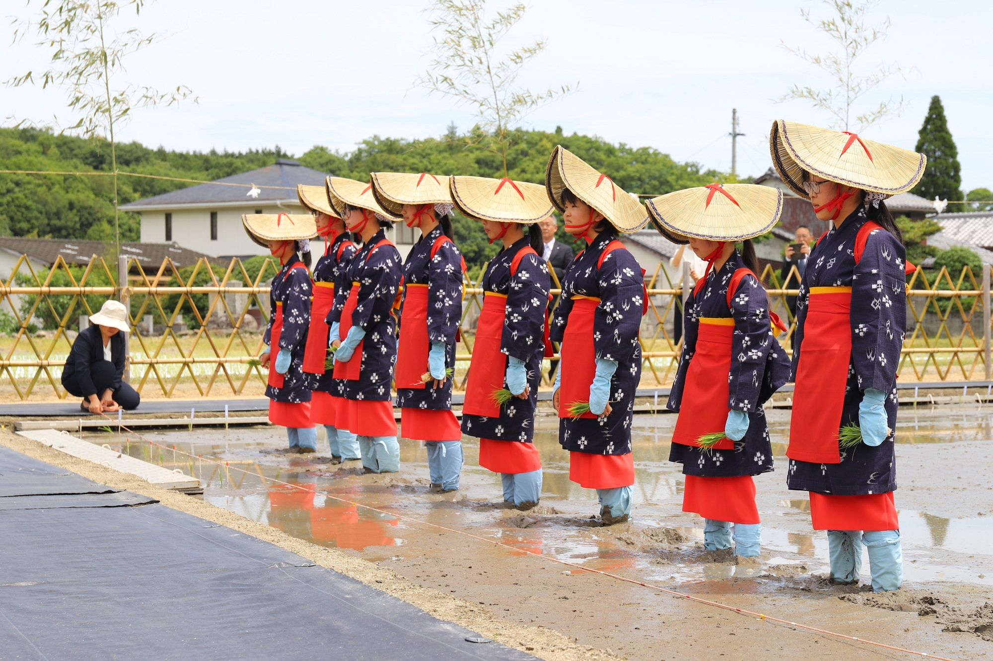田植式