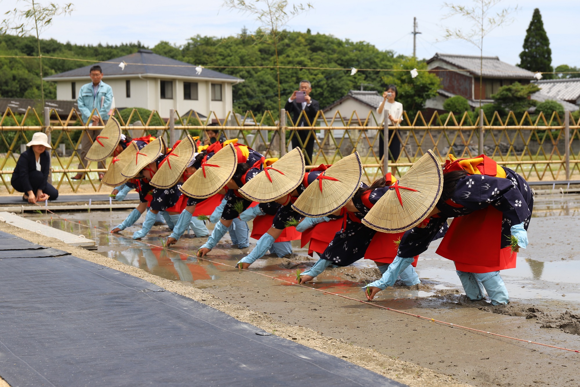 田植式