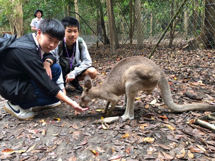 動物園