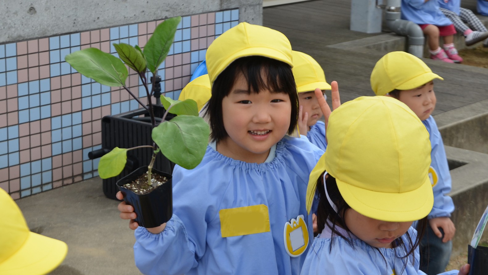 夏野菜、おおきくなぁれ🌱！ ～園児が夏野菜の苗植え～
