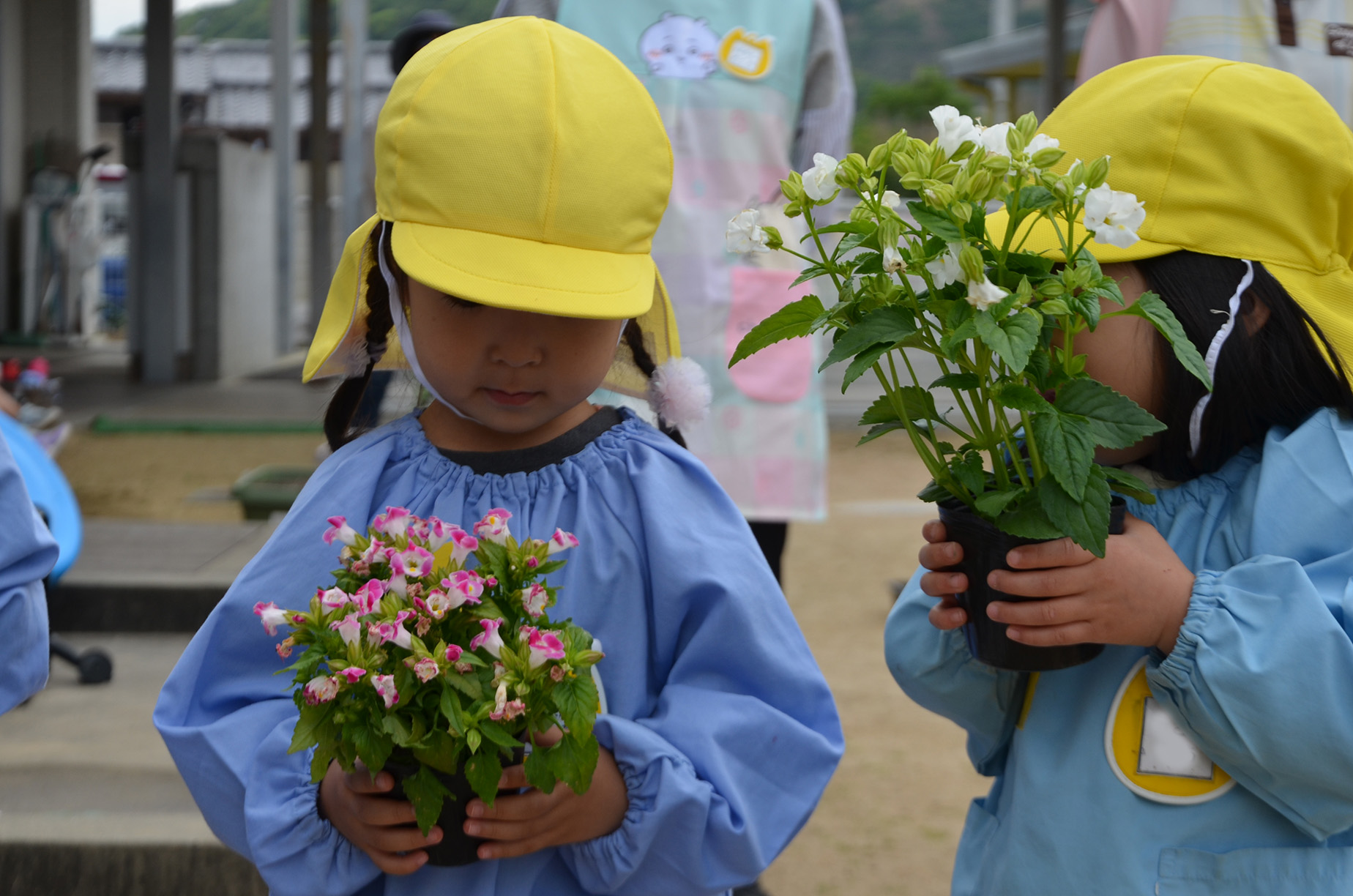 花の苗を運ぶ園児
