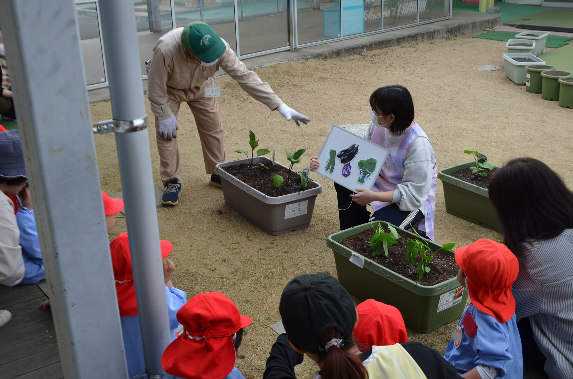 野菜の育て方を教わる