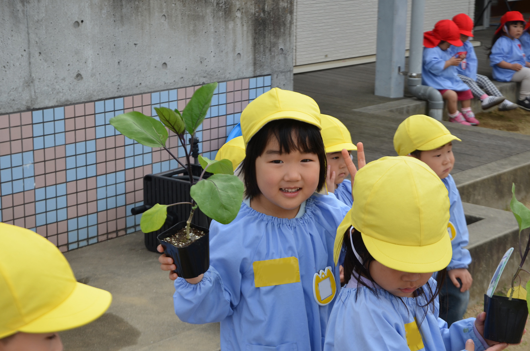 苗を持つ園児