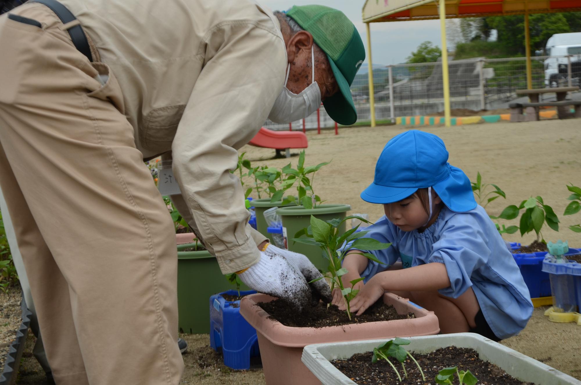 苗を植える園児