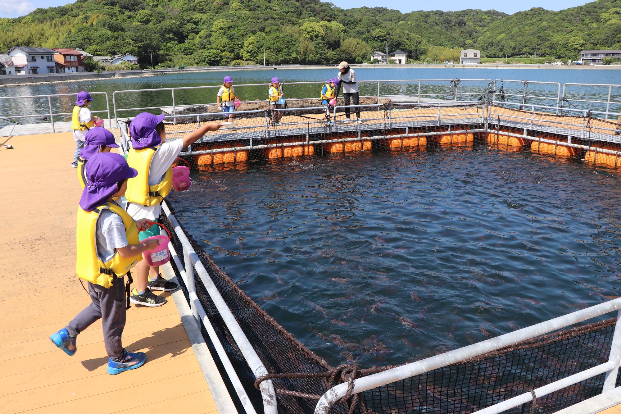 体験学習館マーレリッコで餌やり体験