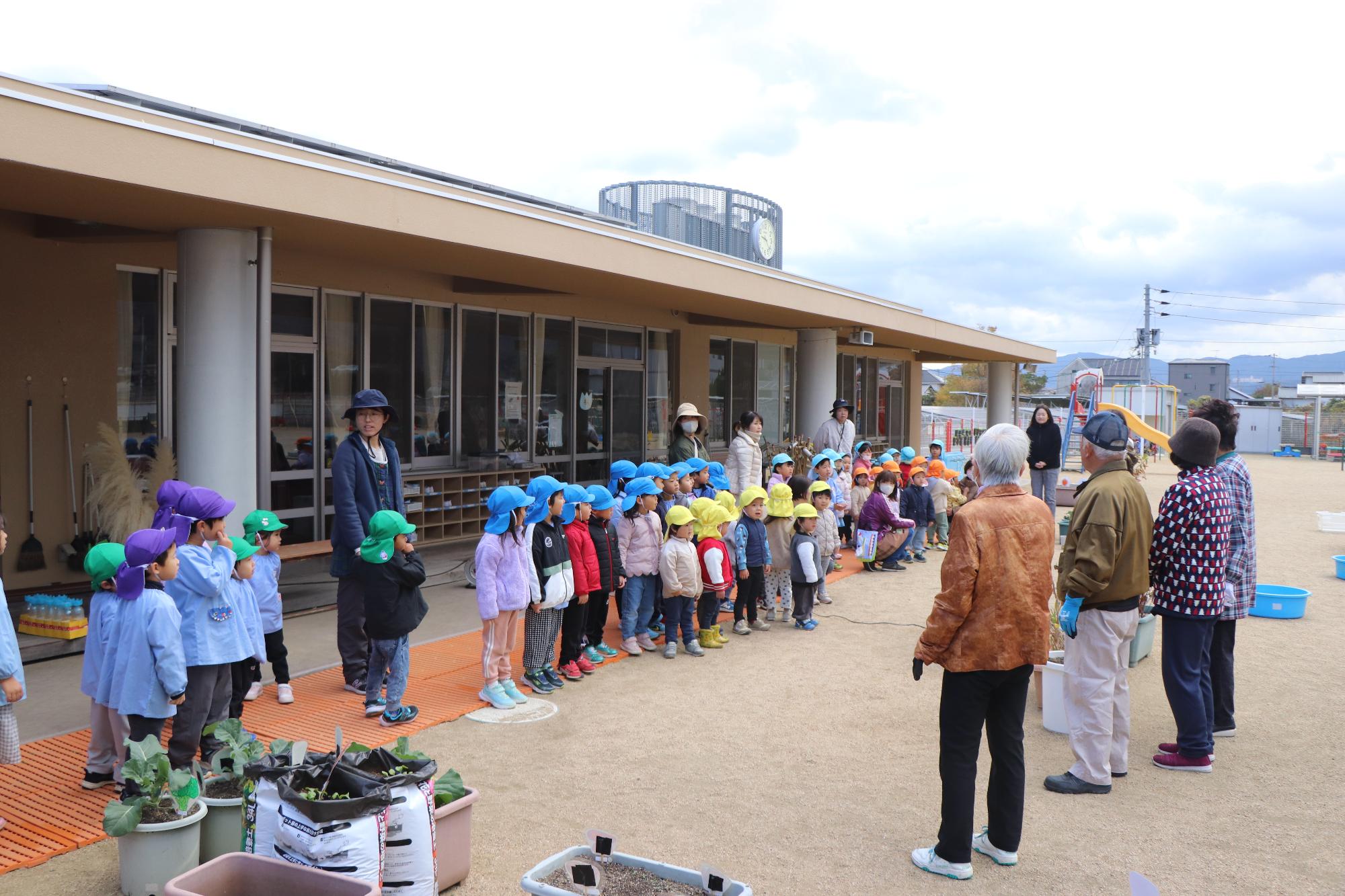 引田こども園で焼き芋作り