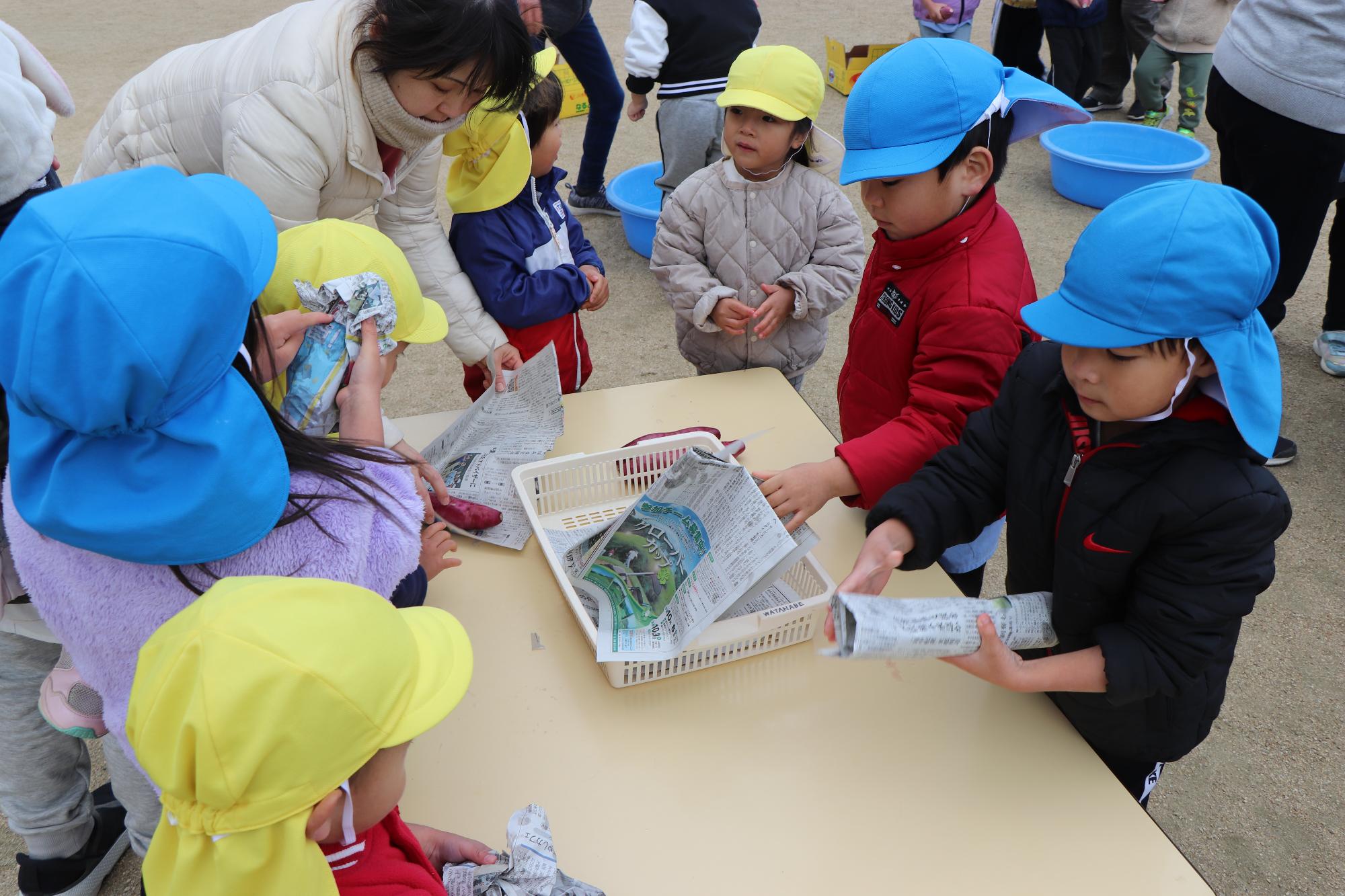 引田こども園で焼き芋作り