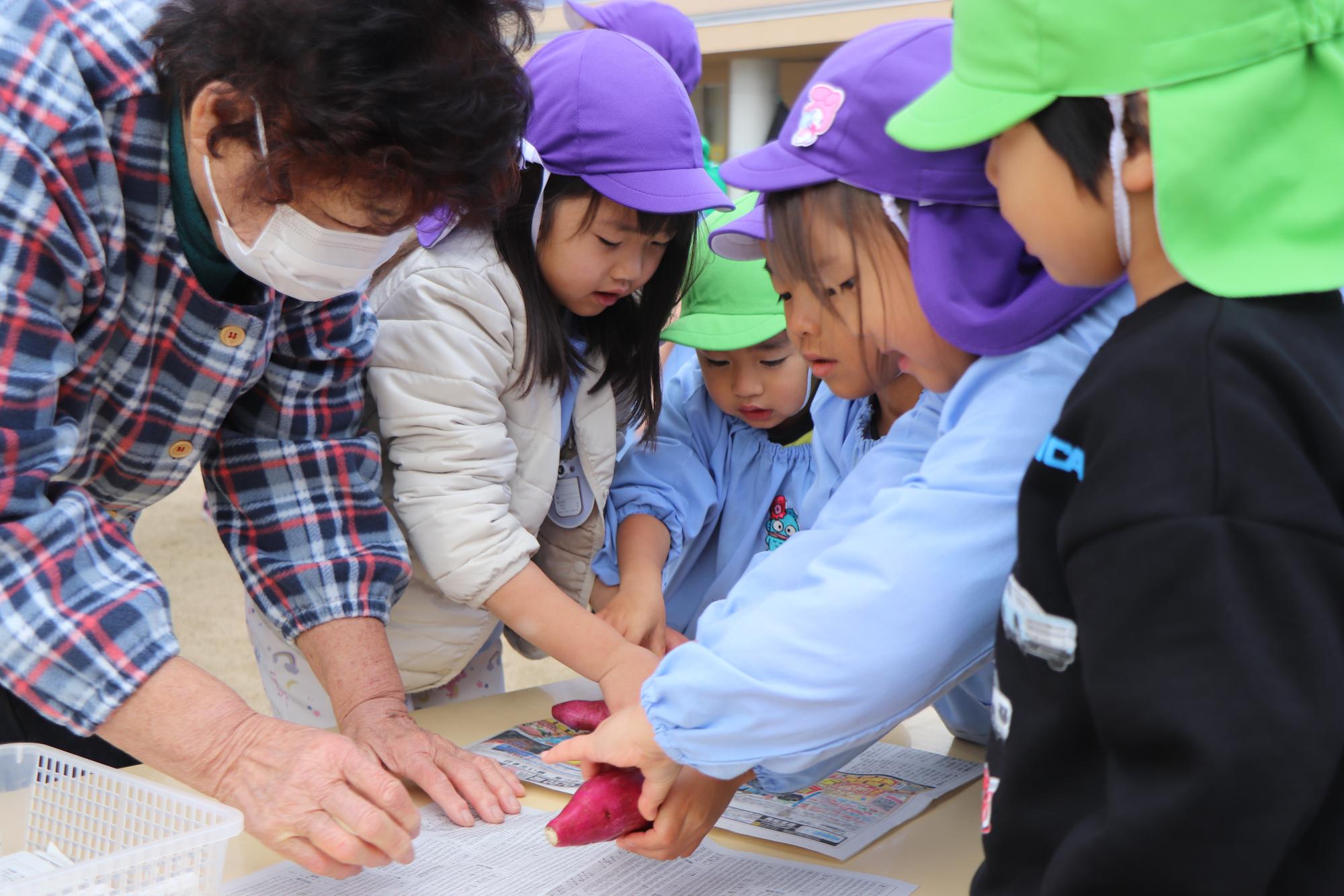 引田こども園で焼き芋作り