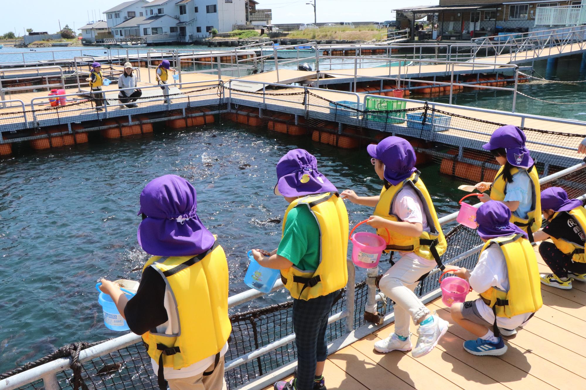 体験学習館マーレリッコで餌やり体験