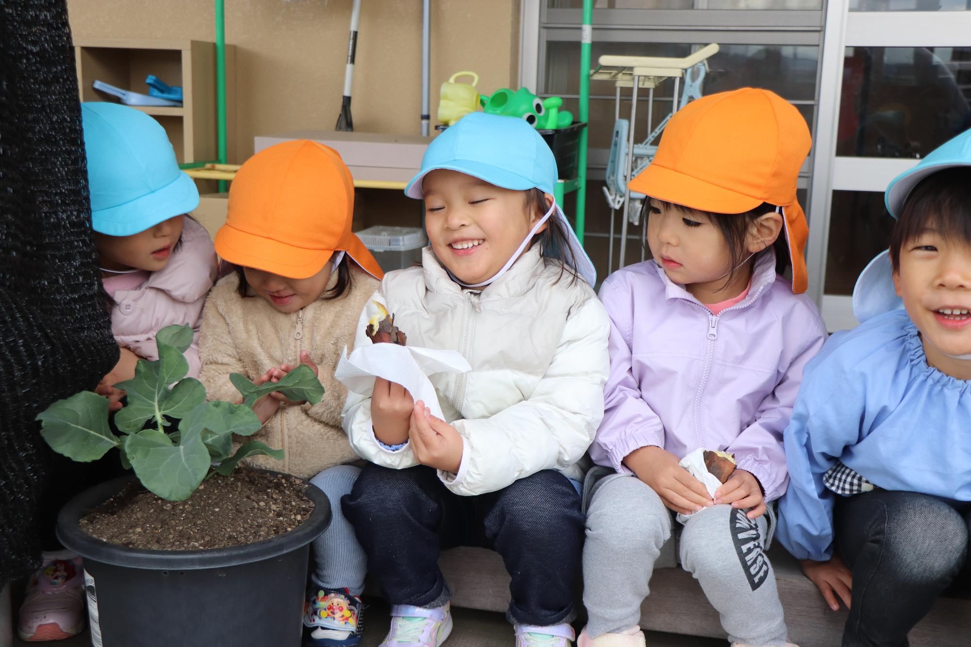 引田こども園で焼き芋作り