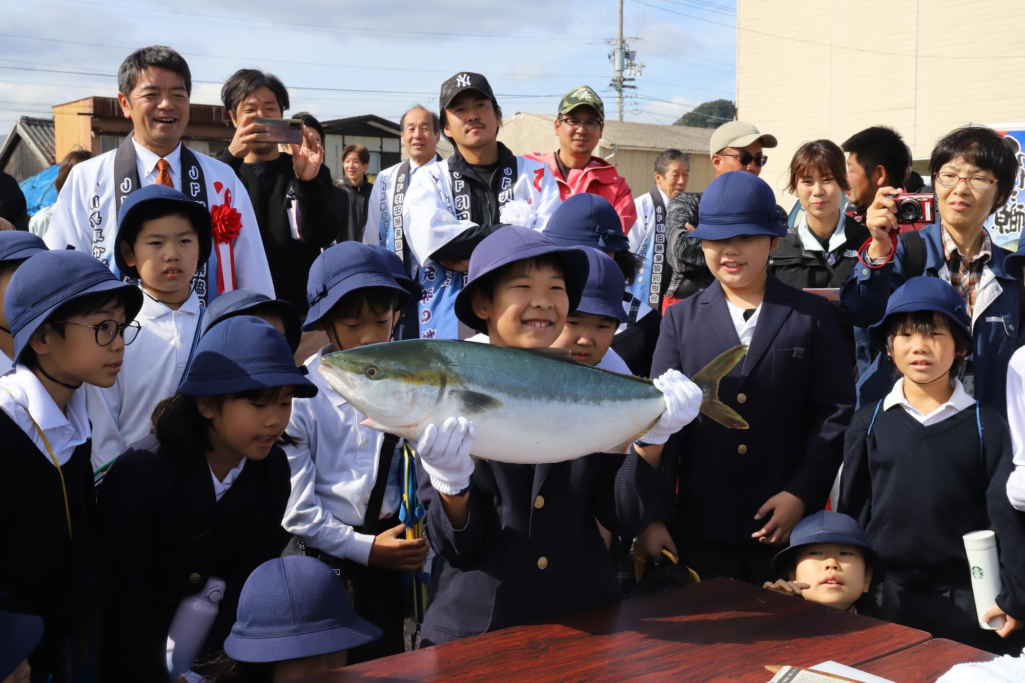 「ひけた鰤」の初出荷
