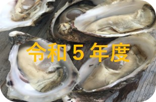 令和5年度実績