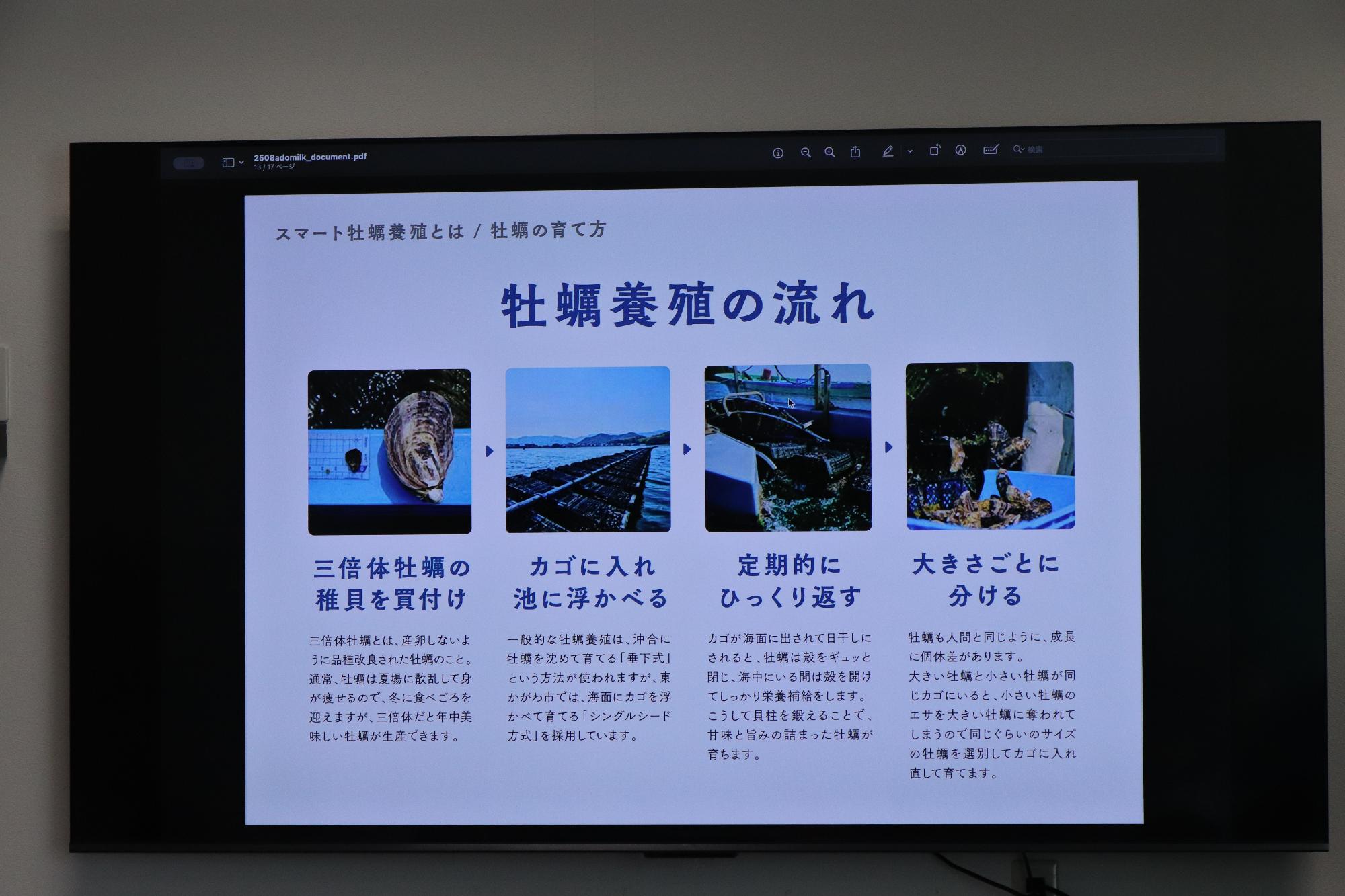 牡蠣養殖の流れ