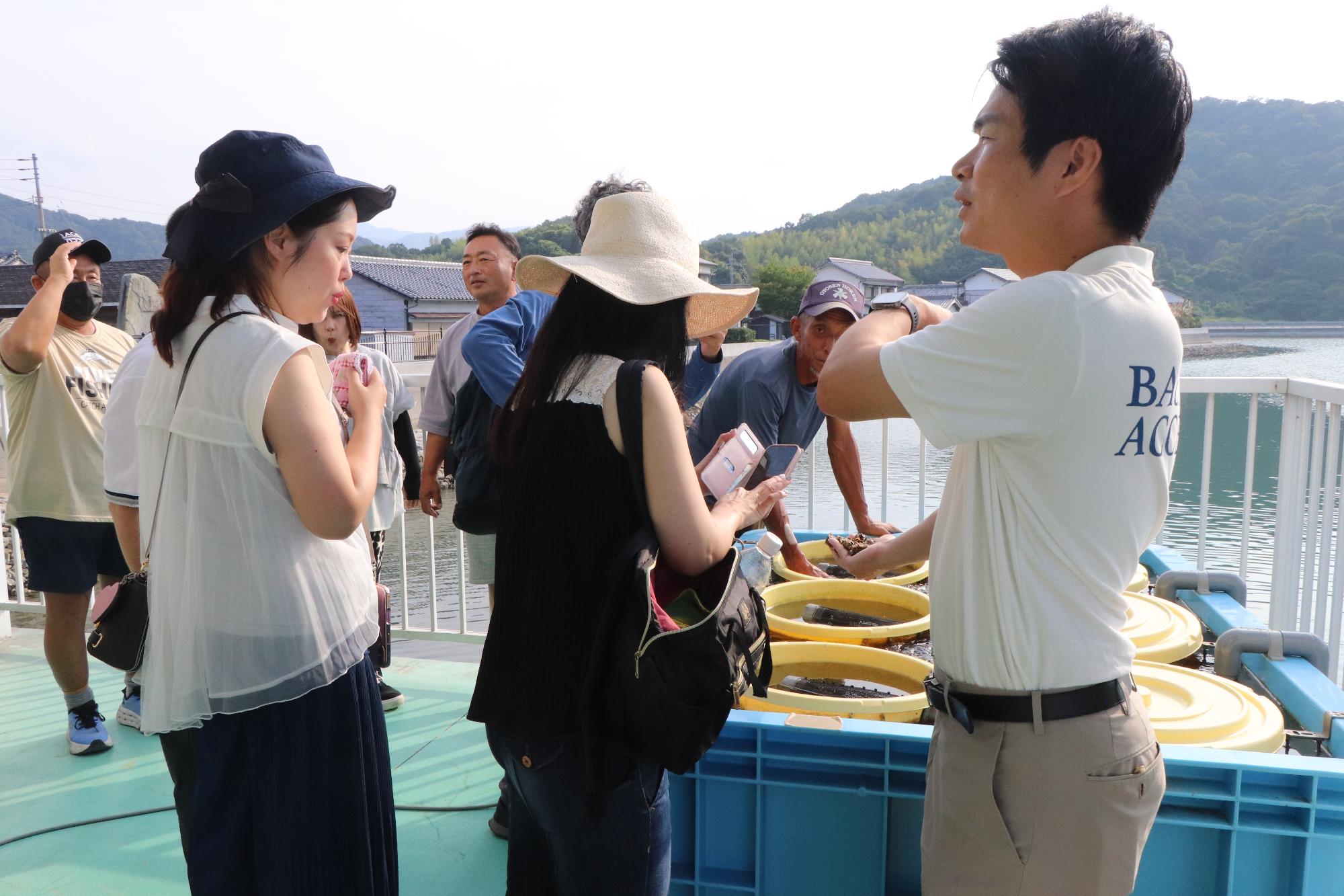 稚貝を養殖