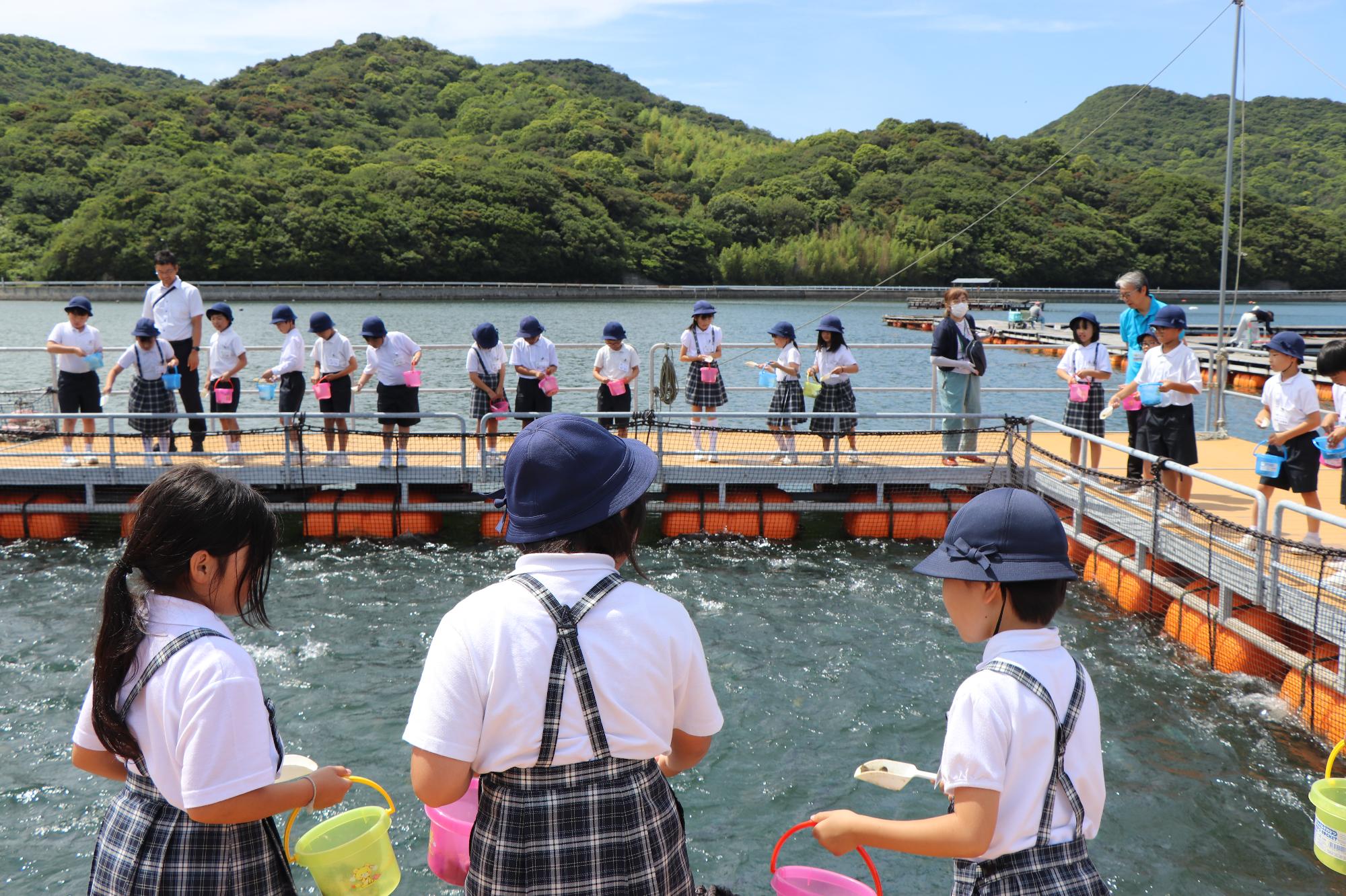 ハマチの餌やり体験を楽しむ子どもたち