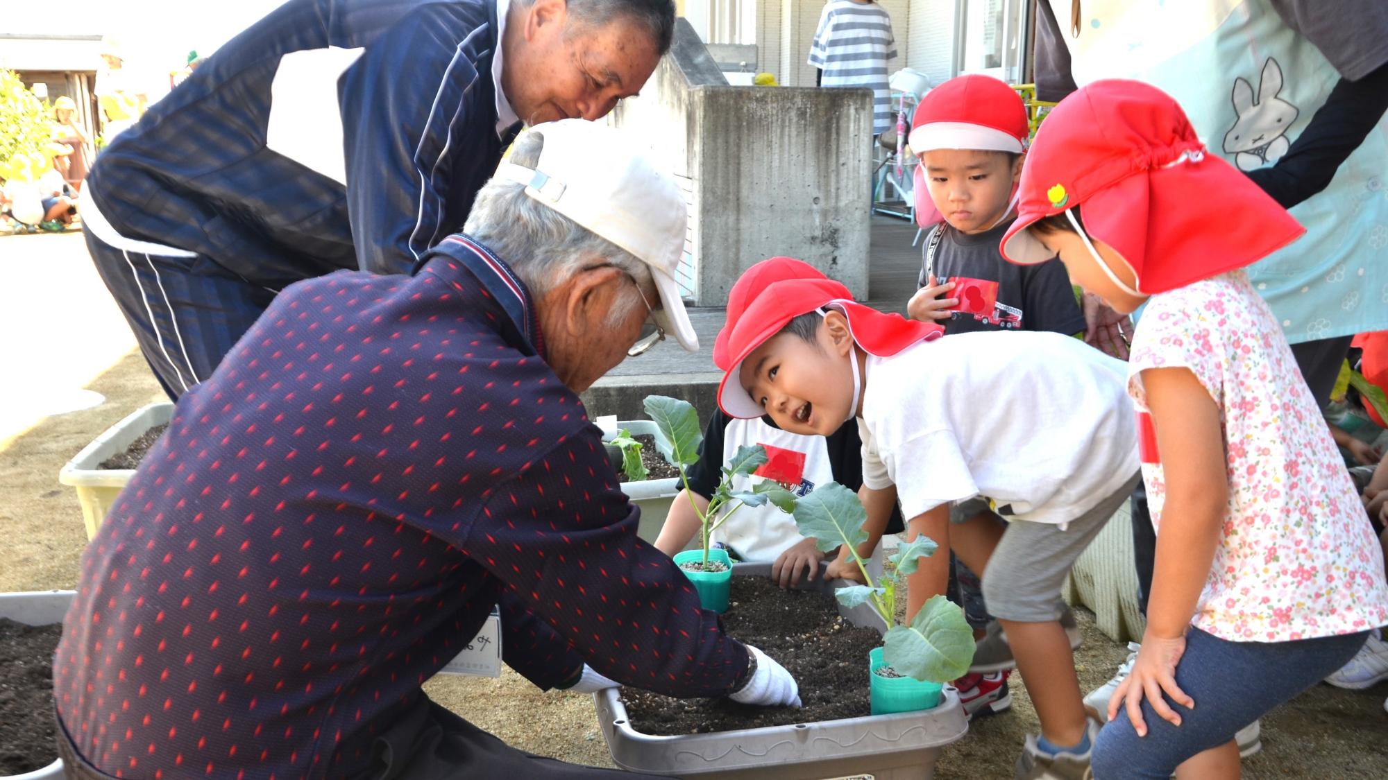 令和7年10月9日冬野菜植え付けと老人会との交流〜in丹生こども園〜