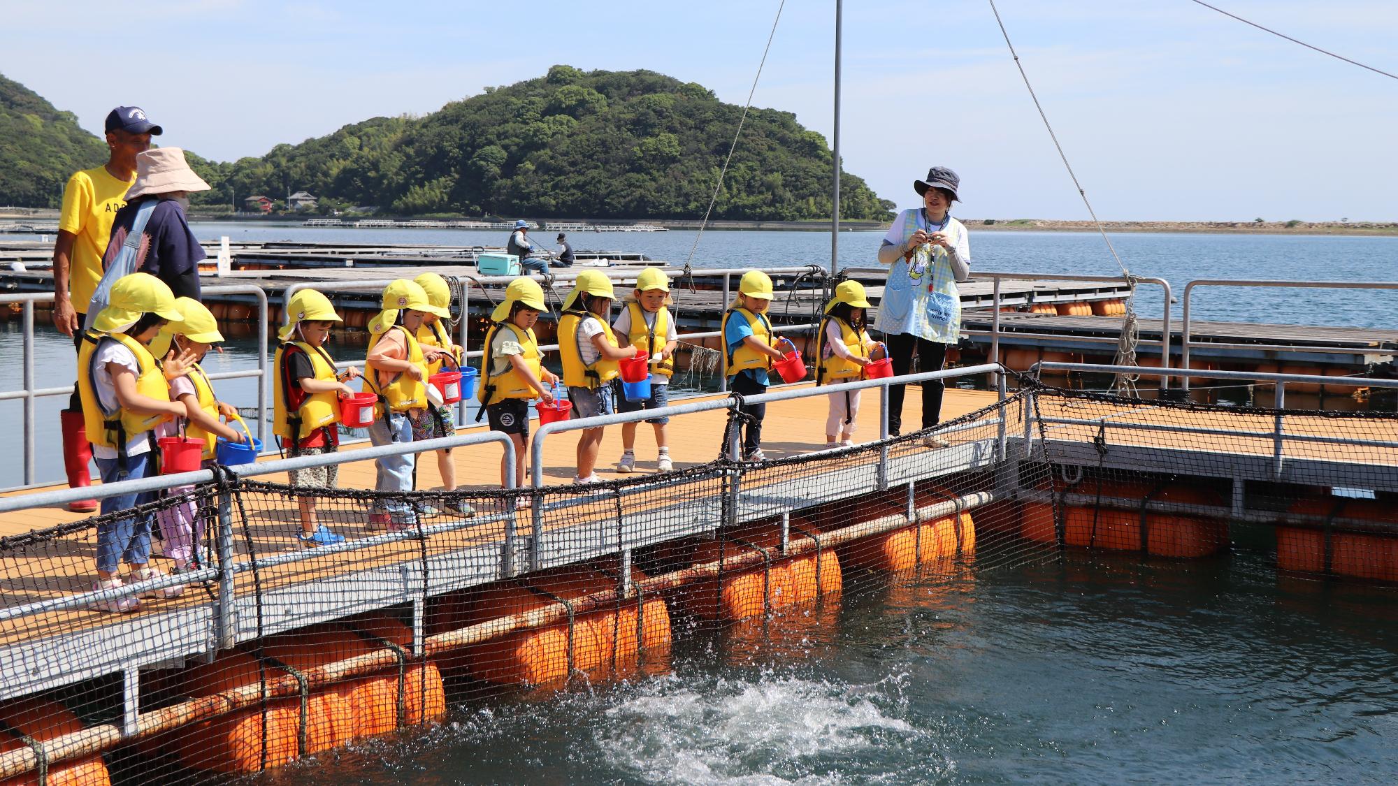 飛び跳ねる魚🐟に興奮する園児たち〜丹生こども園児がマーレリッコで餌やり体験〜