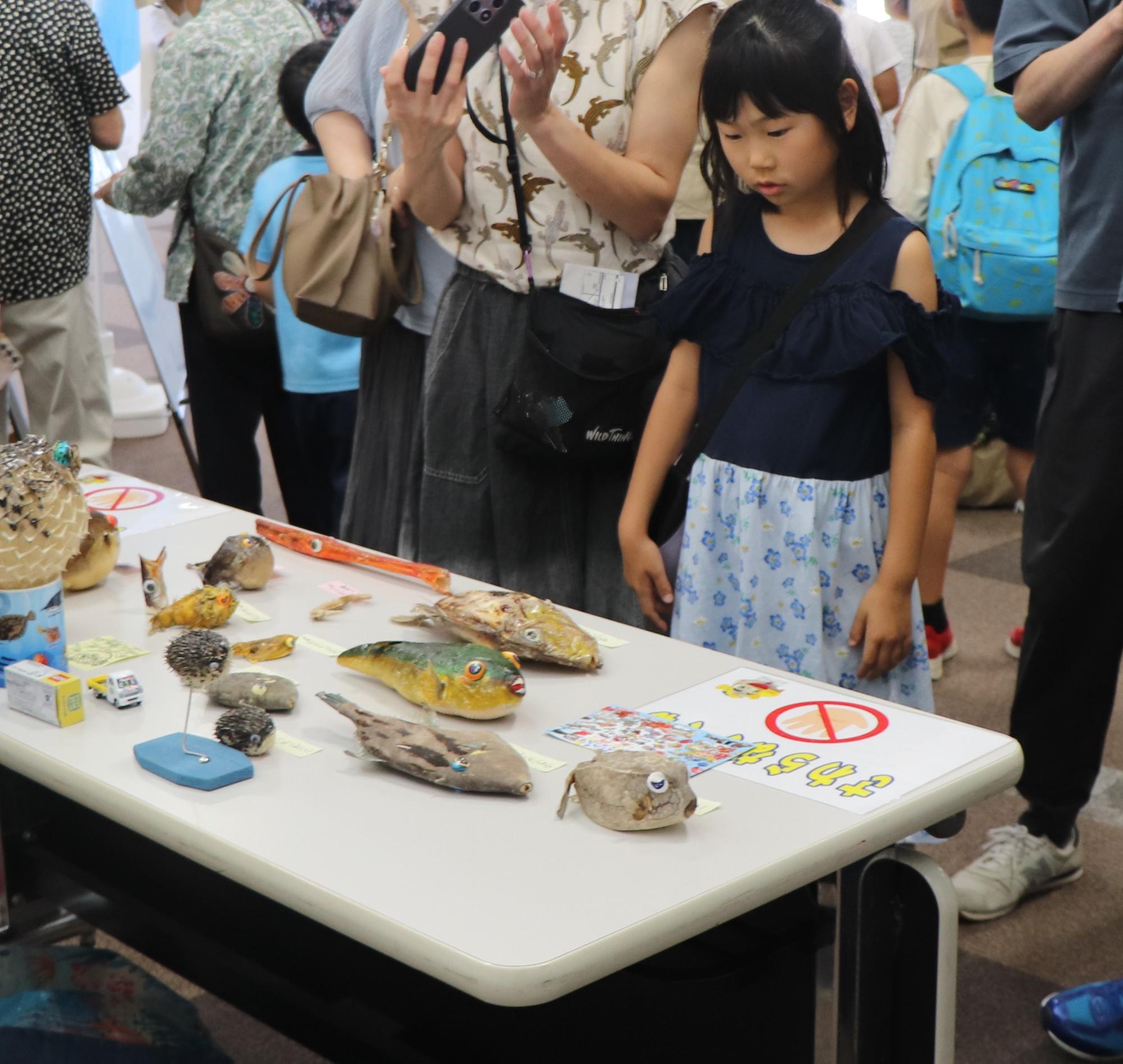 さかなクンの作品に興味津々の様子