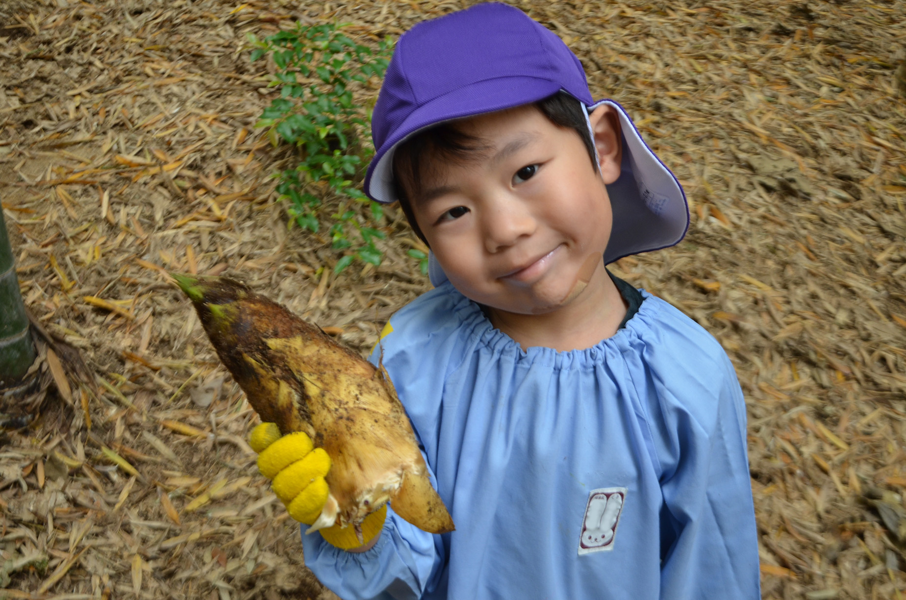 すごいでしょ！