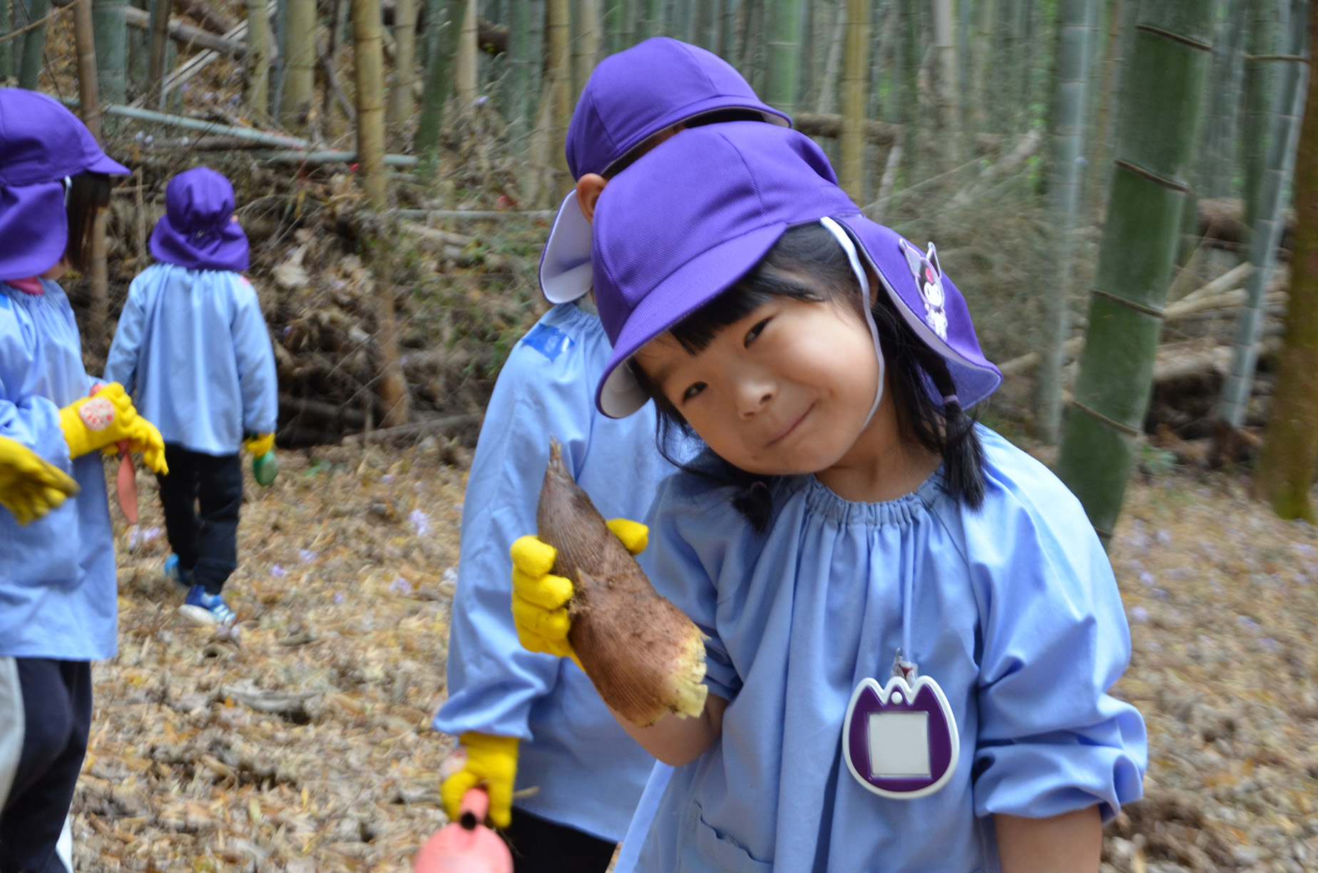 すごいでしょ！