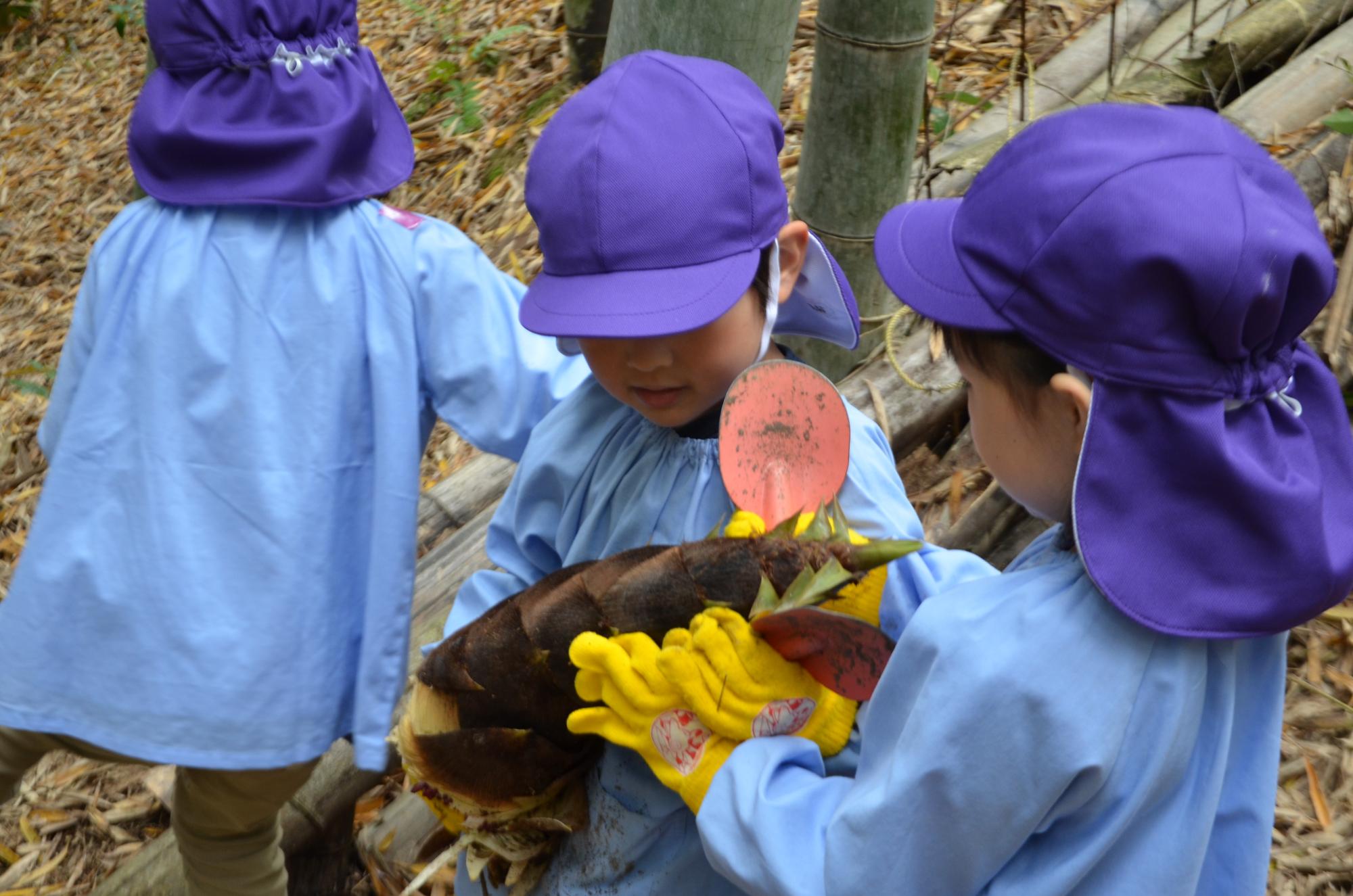 すごいでしょ！