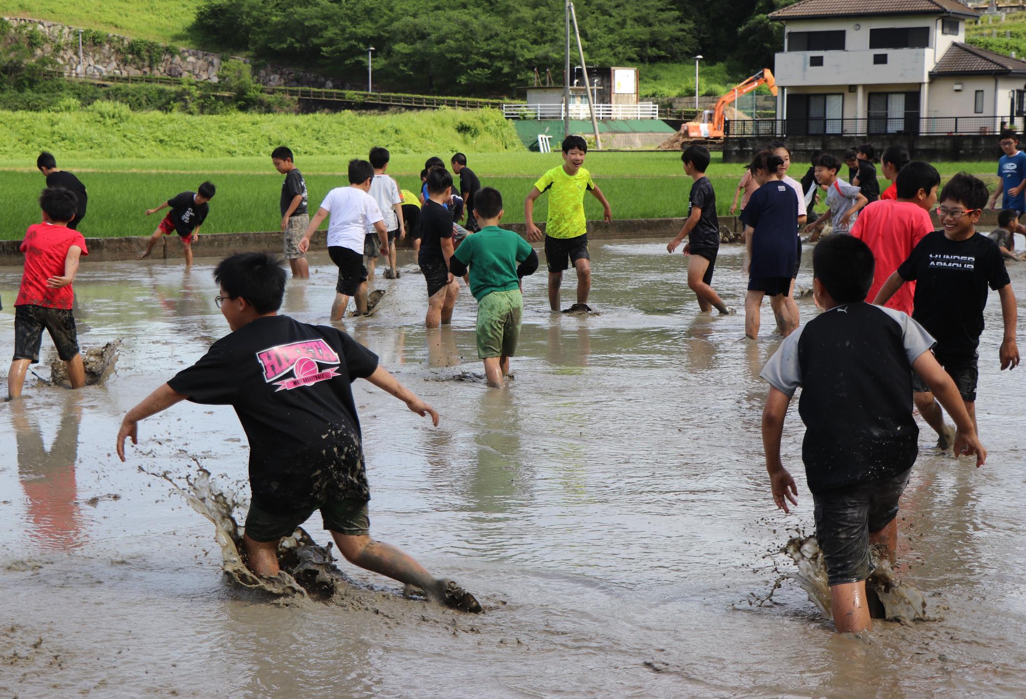 泥に慣れようと一斉に田んぼへ