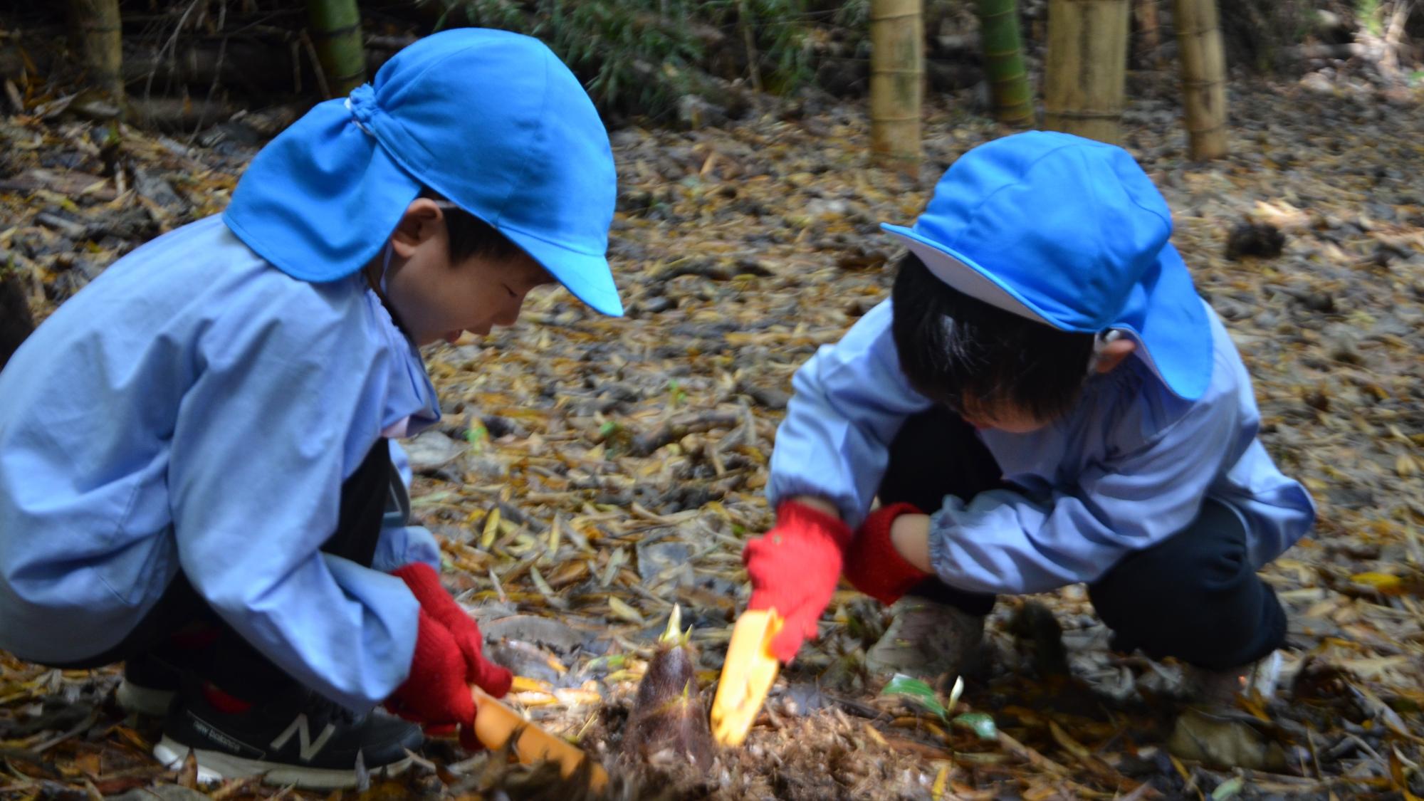 たけのこ見ぃつけた😍〜春の竹林で園児がたけのこ掘り〜