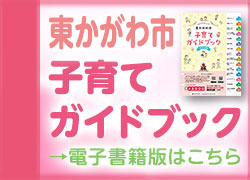 dennsisyoseki