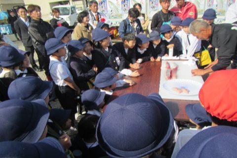 引田小学校校外学習の様子