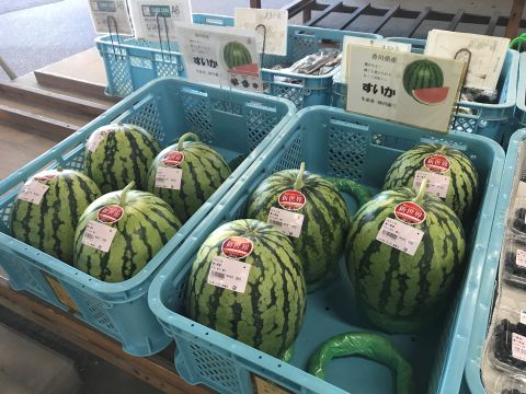 スイカ